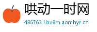 哄动一时网